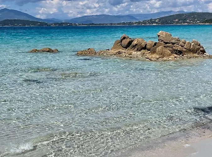 Appartement Paillote Perchee A 180 ° Sur La