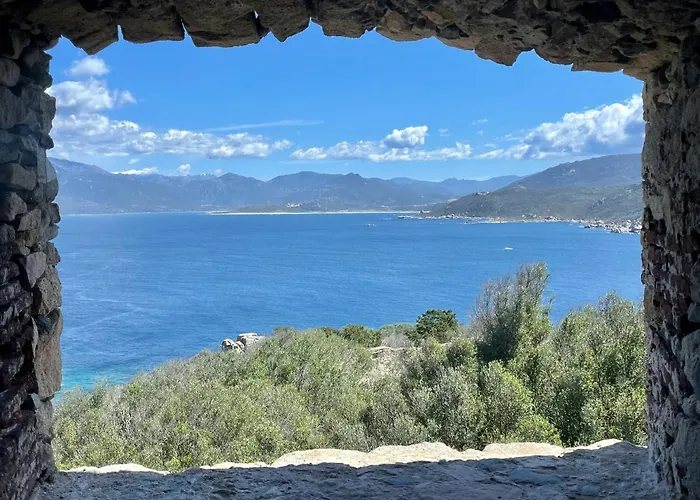 Appartement Paillote Perchee A 180 ° Sur La *