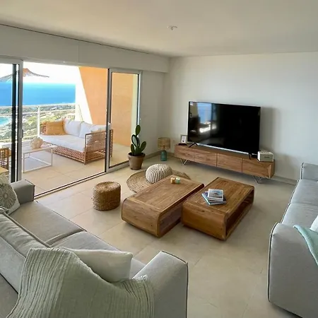 Paillote Perchee A 180 ° Sur La * 阿雅克肖