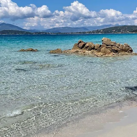 公寓 Paillote Perchee A 180 ° Sur La