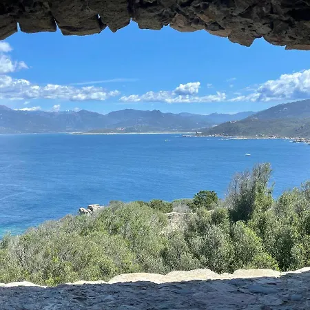 Apartment Paillote Perchee A 180 ° Sur La *