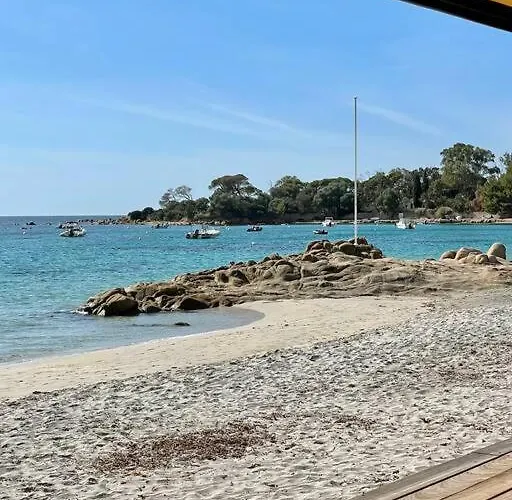 Apartment Paillote Perchee A 180 ° Sur La *